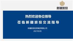 新疆旅投召開文化産業發展工作專題彙報會