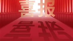 産業協同聚合力 攜手共進促發展