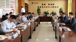 戰略引領把方向 高效執行結碩果