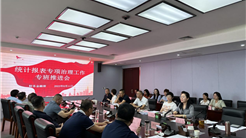 新疆文旅投召開統計報表專項治理工作推進會議
