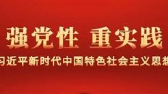 黨建引領｜新疆文旅投所屬企業開展主題黨日活動